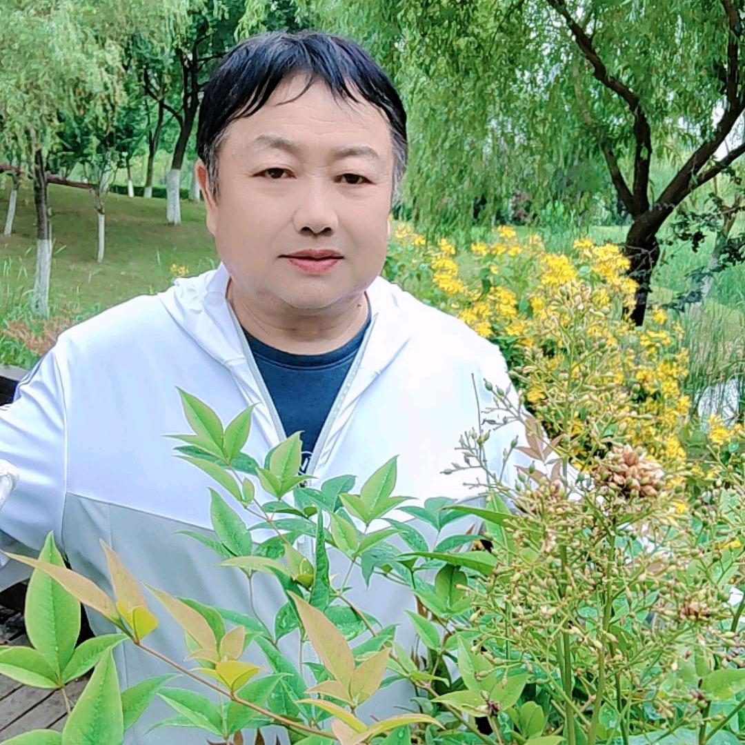 冬青戏迷