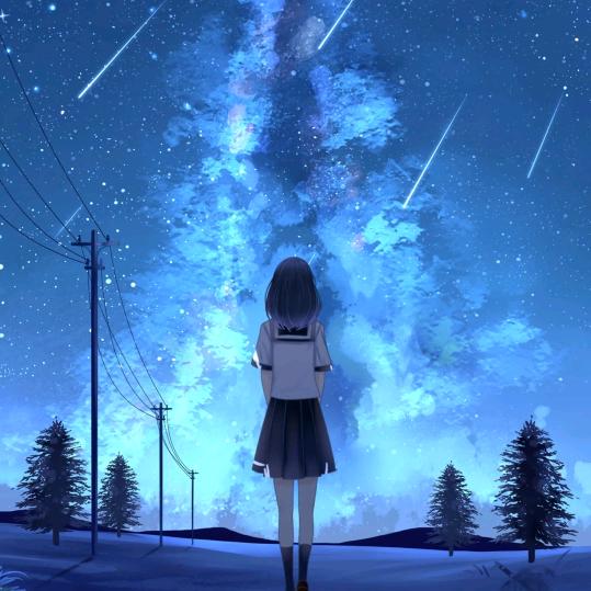 星空🐬