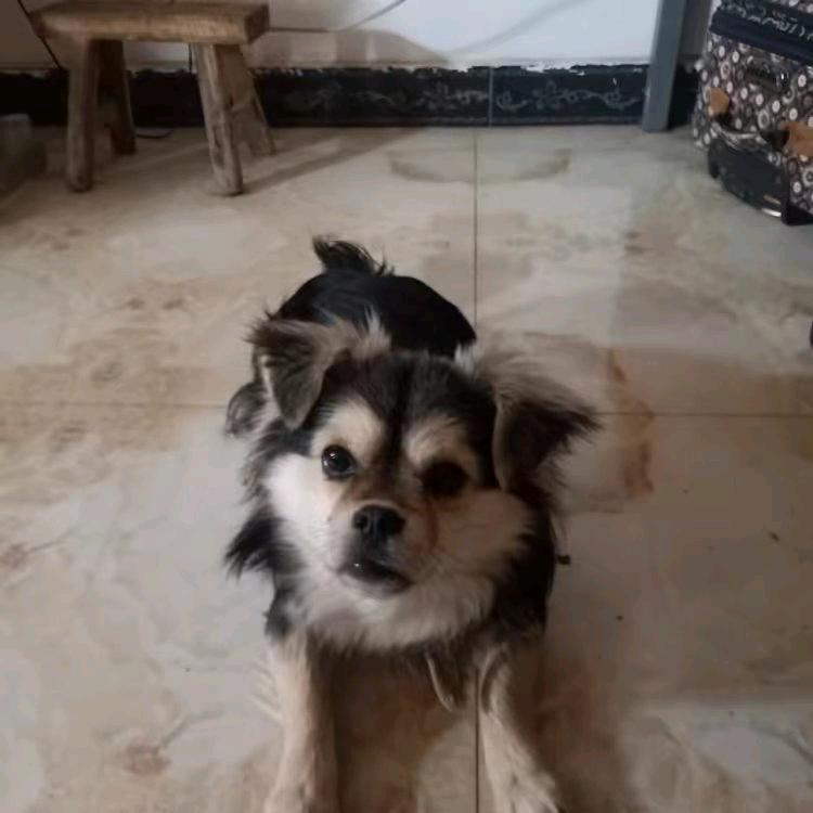 余生有你才完美⚽⚽