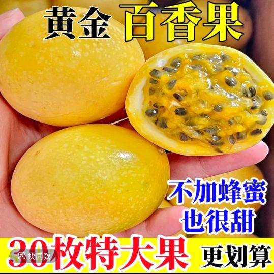 知音如诗