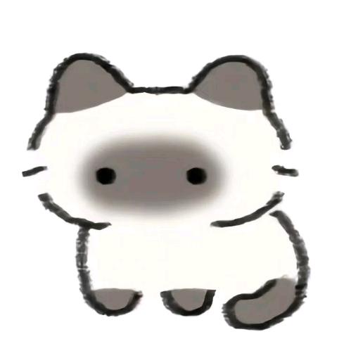 小猫大王