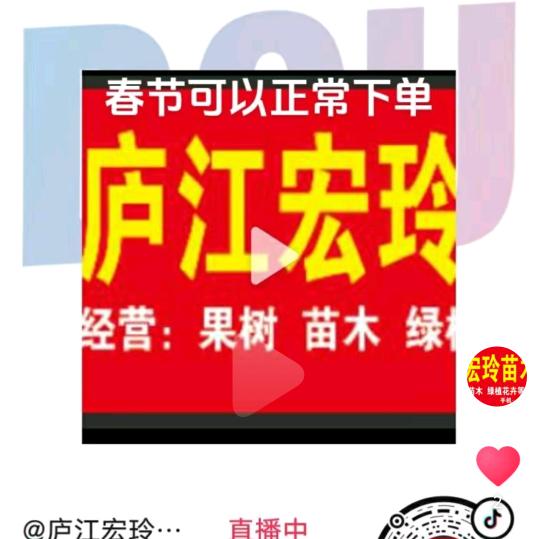 庐江宏玲苗木销售店