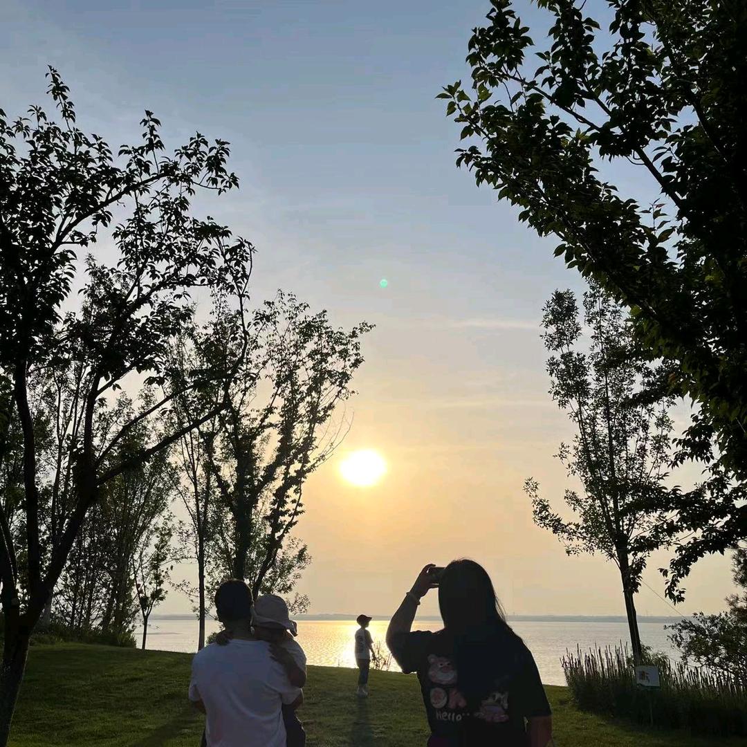 思念以被风吹邹