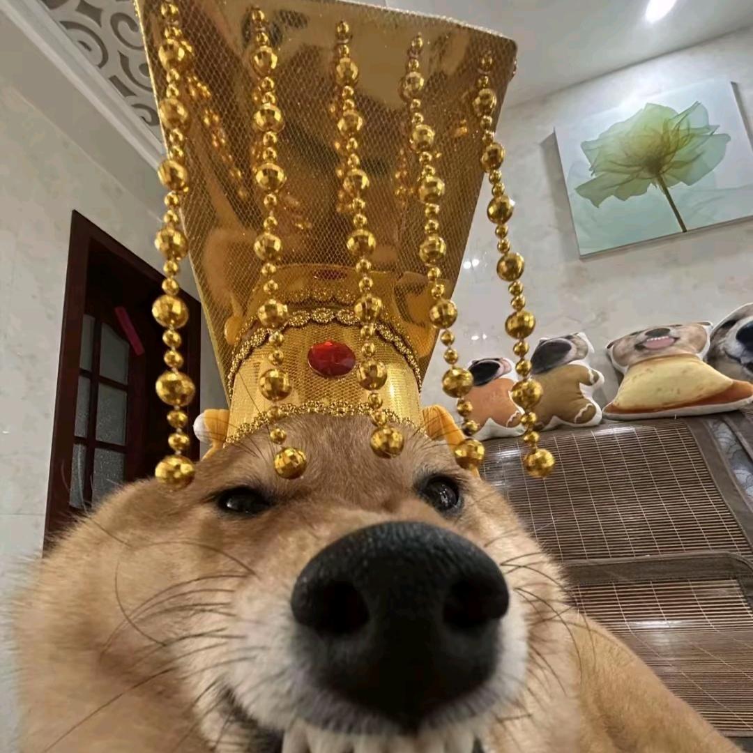 云云🧚🏼‍♀️