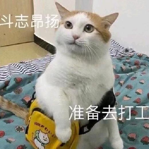 💰滴嘎吱💰