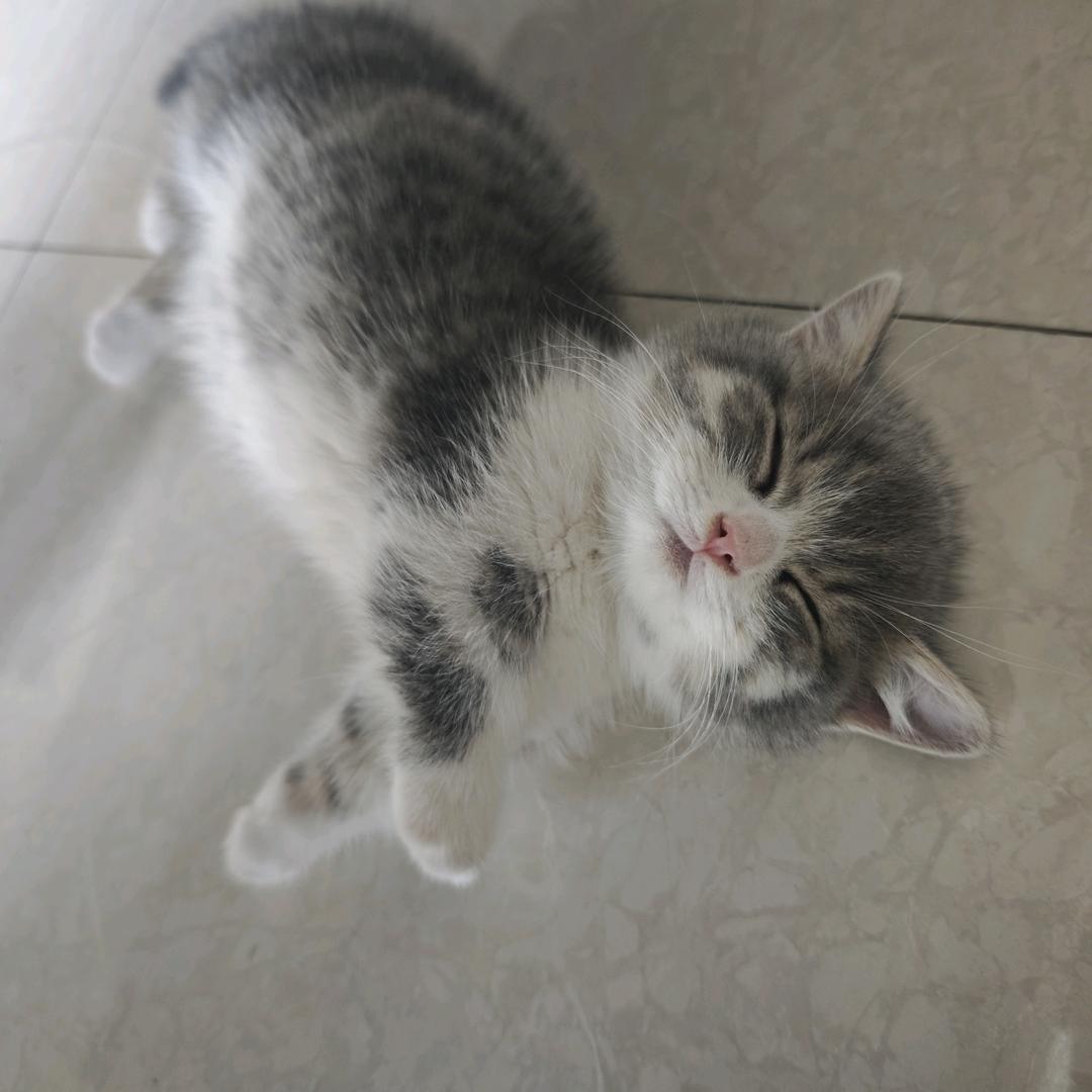 热心小王