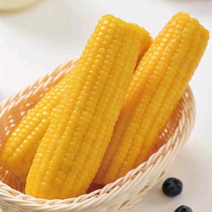 东北糯玉米🌽