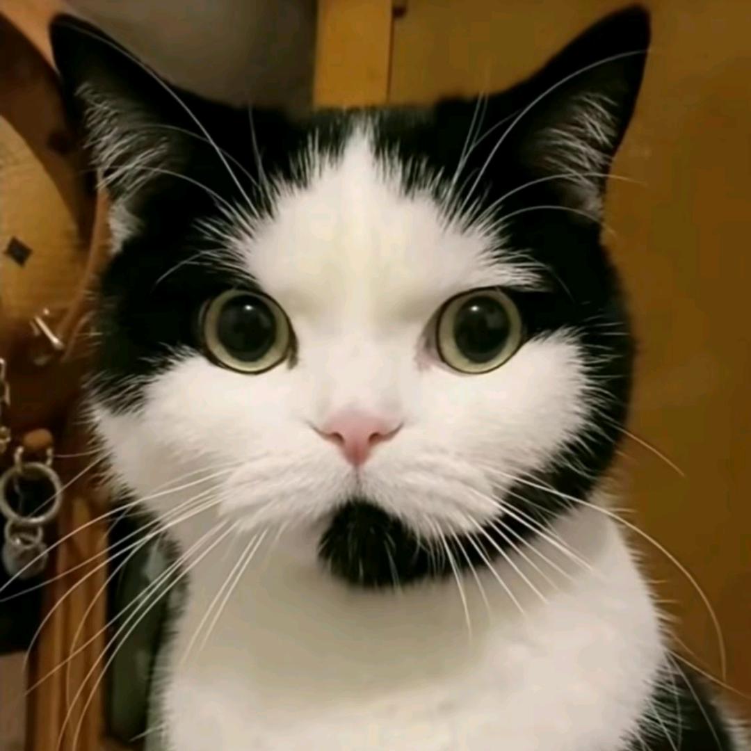 小奕影视