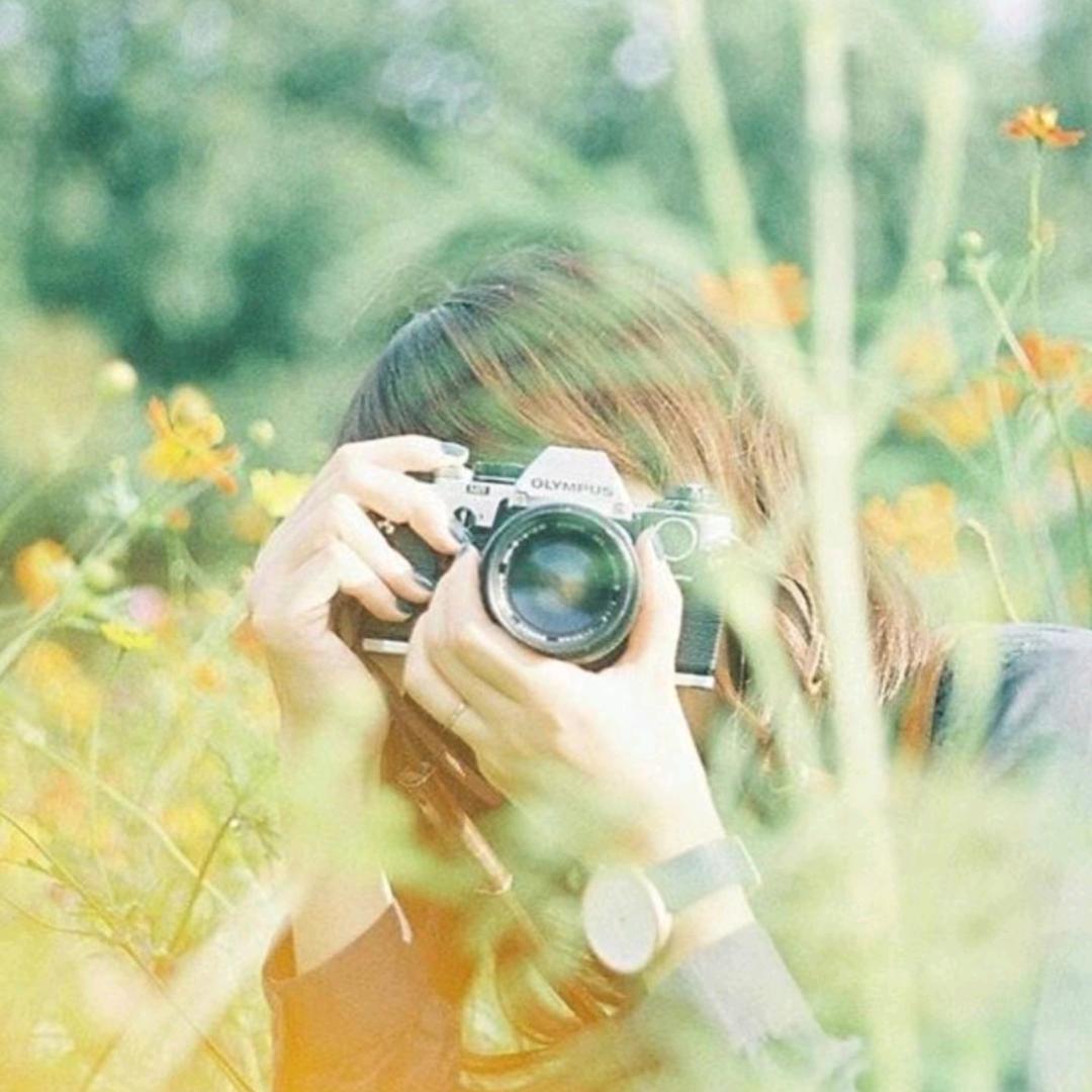 এ᭄夏日蔷薇ོꦿ࿐