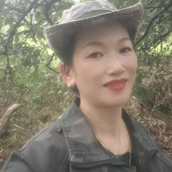 南"方燕"子