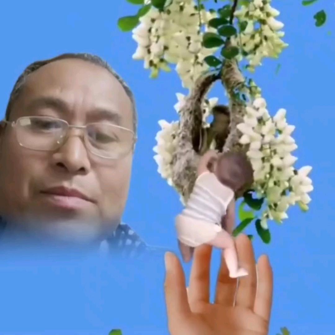 真善