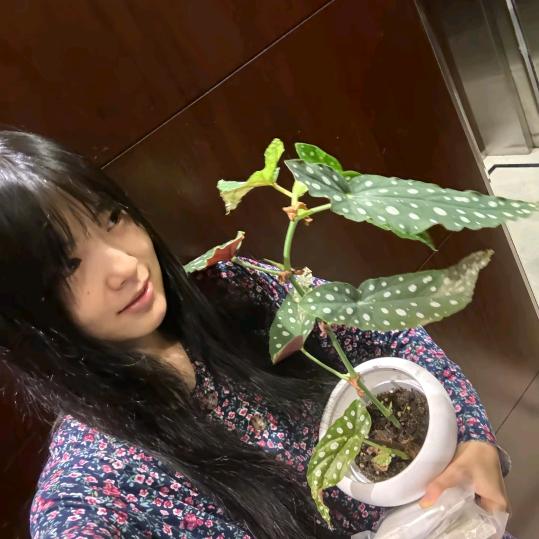 喜欢丑的