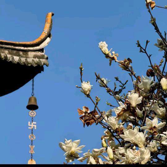三源居士
