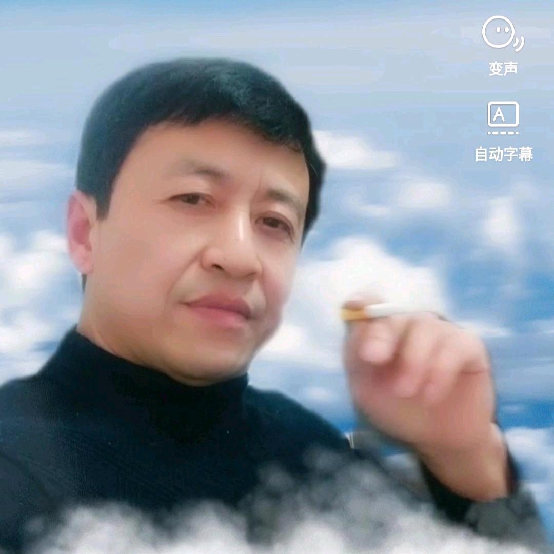 一网天下