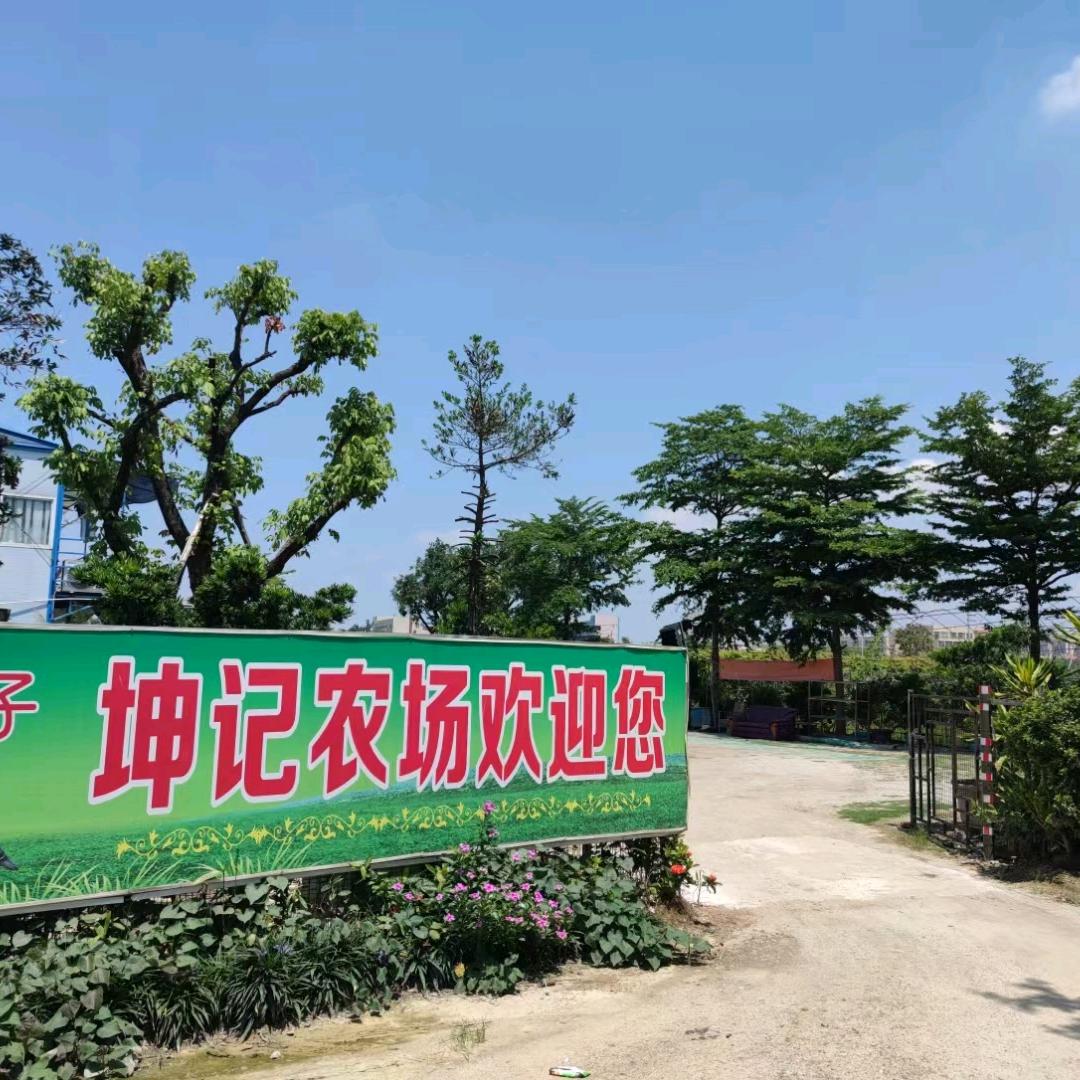 坤记原生态农场