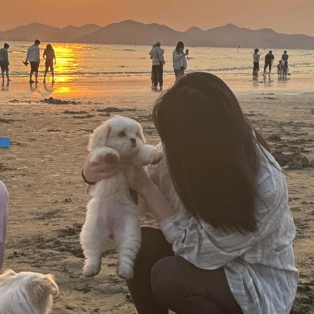 Joy