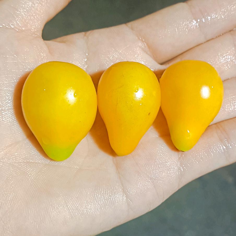 夏天的风