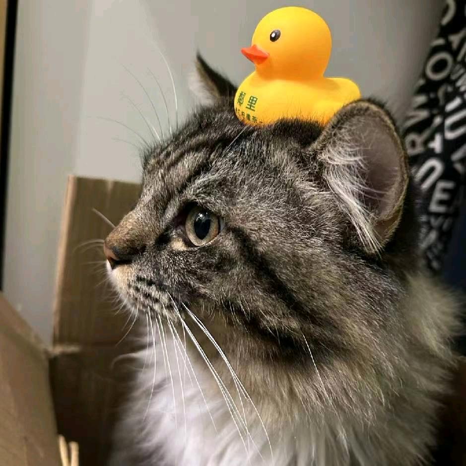 亲爱的抱着我睡