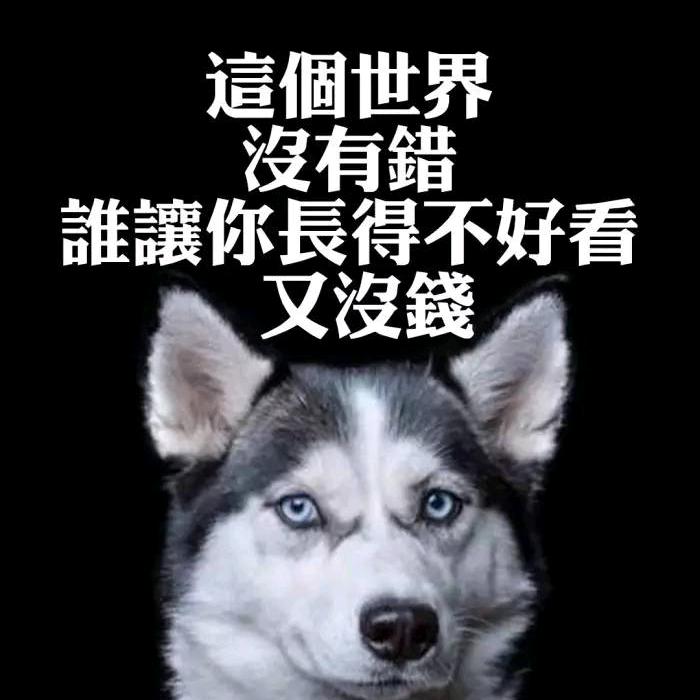 别跑⁸⁰²