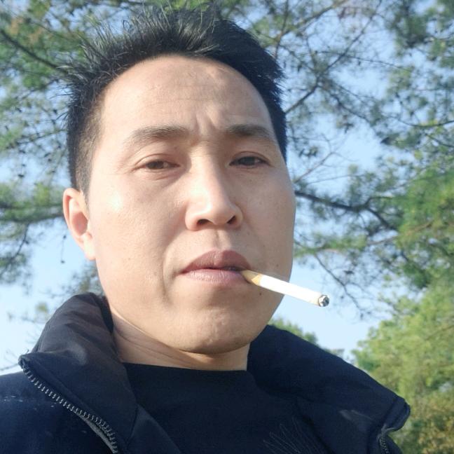 草上飞