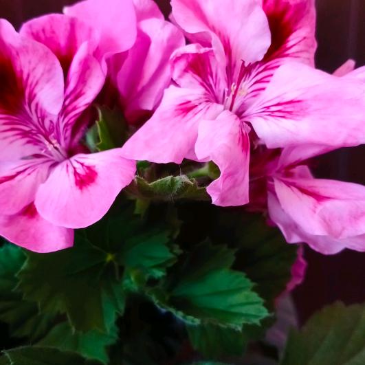 💞开心每一天💞