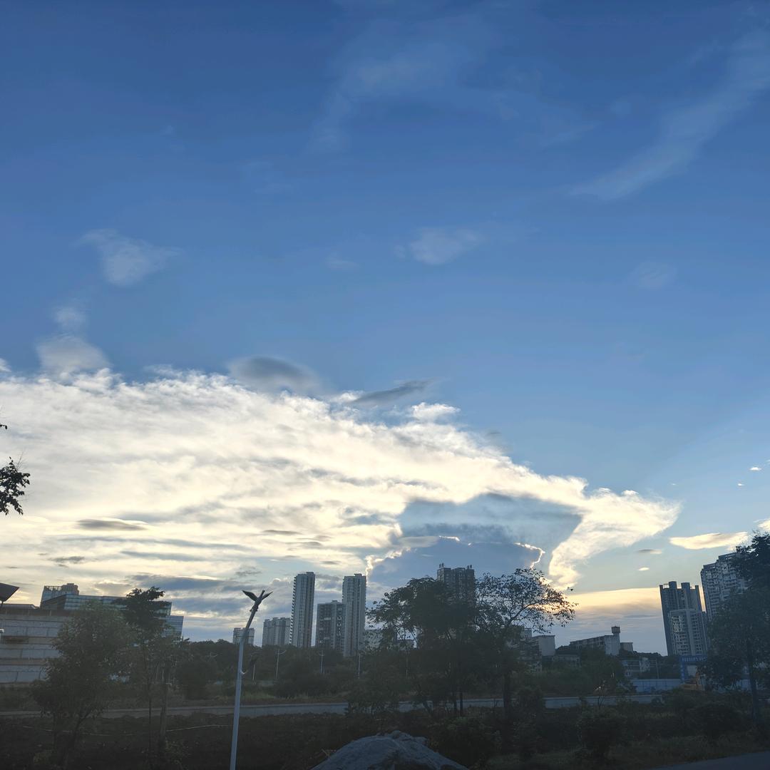 翠兰