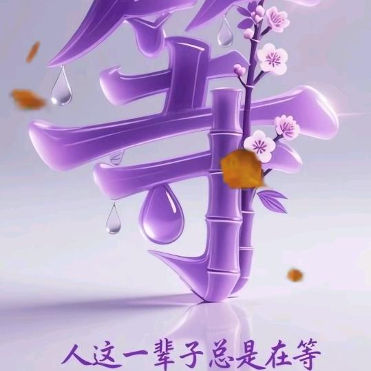 无缘无份无情✌