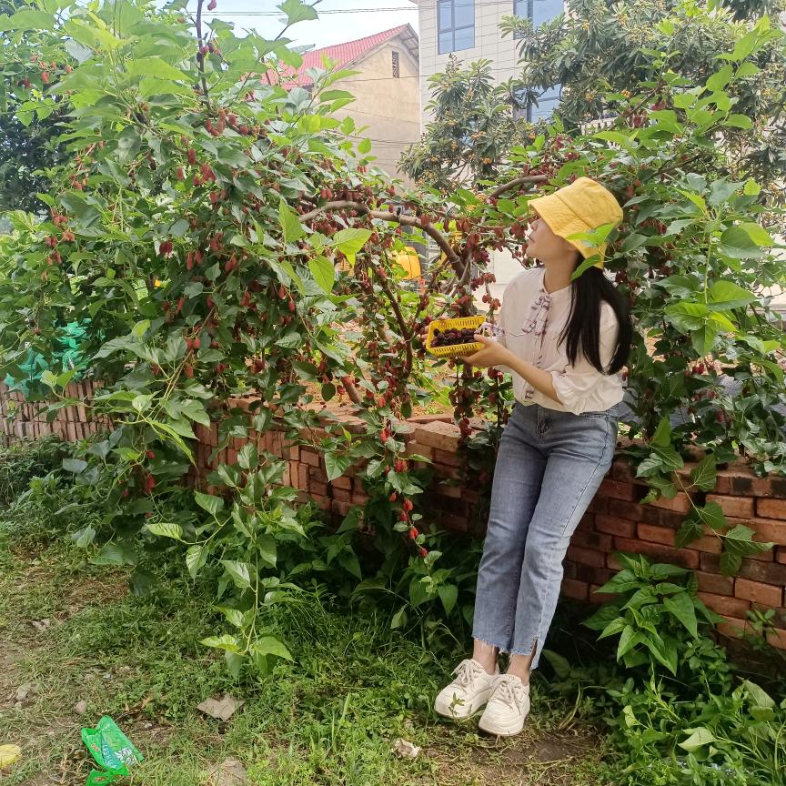 潇念