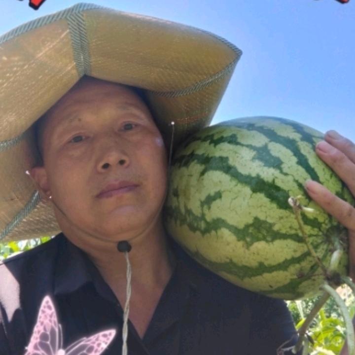 农业植保汪哥
