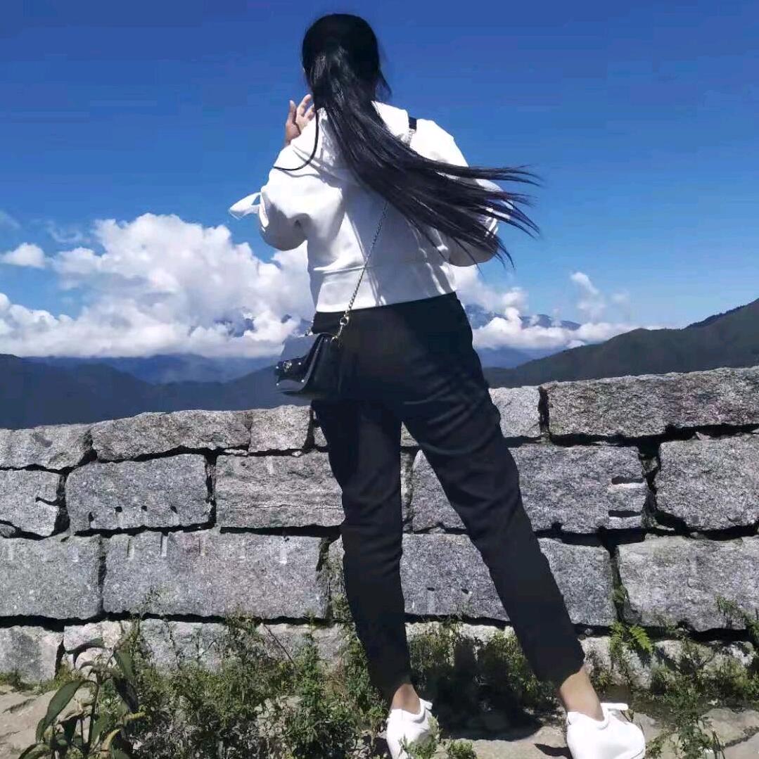 你的旅途我来满足