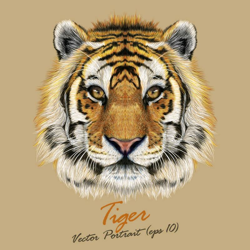 牛魔王与白骨精