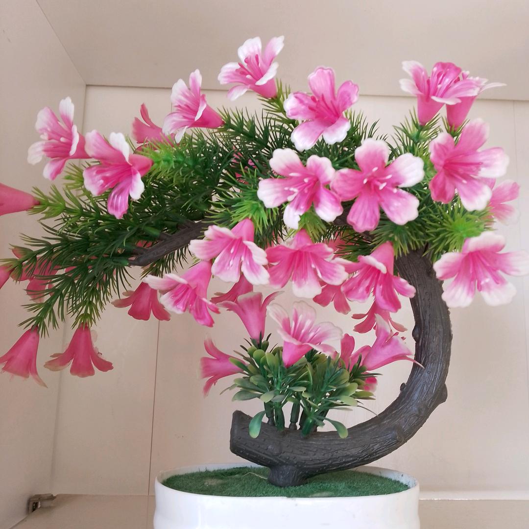 春暖花开的时候