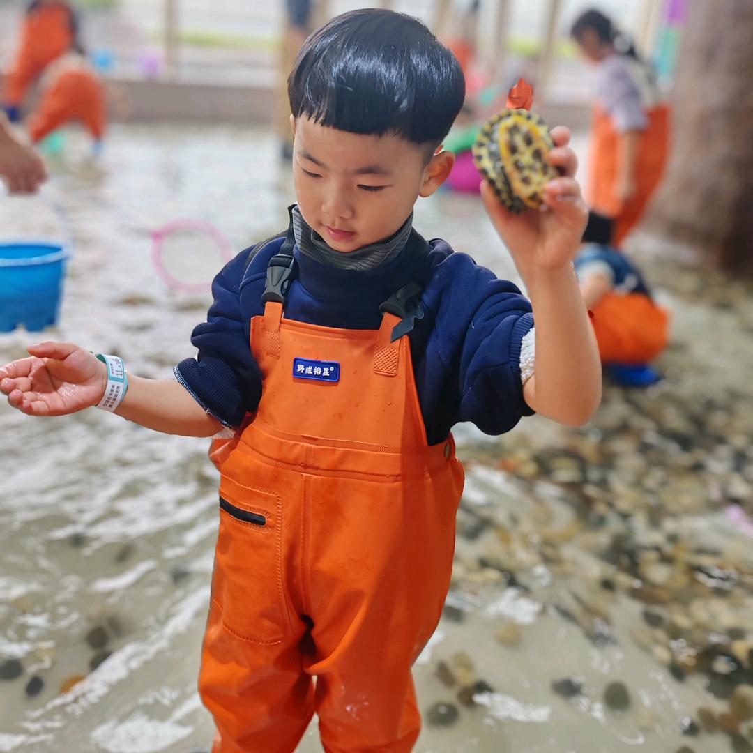 ᭄ꫛ🍊心想事橙🍊꧔ꦿ᭄