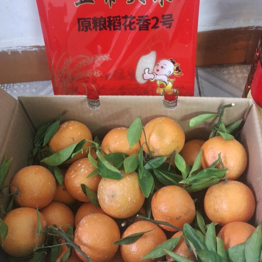 快乐人生