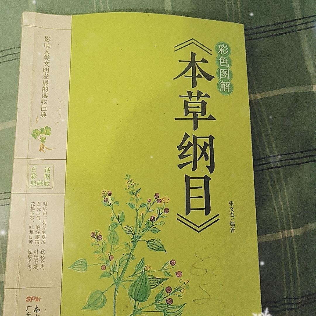 永恒的爱