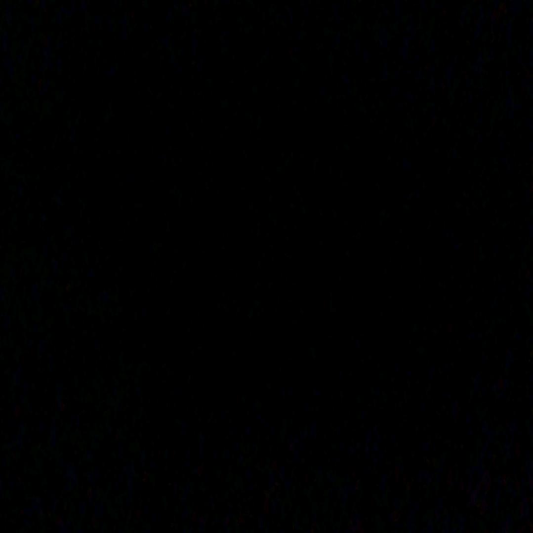 老表