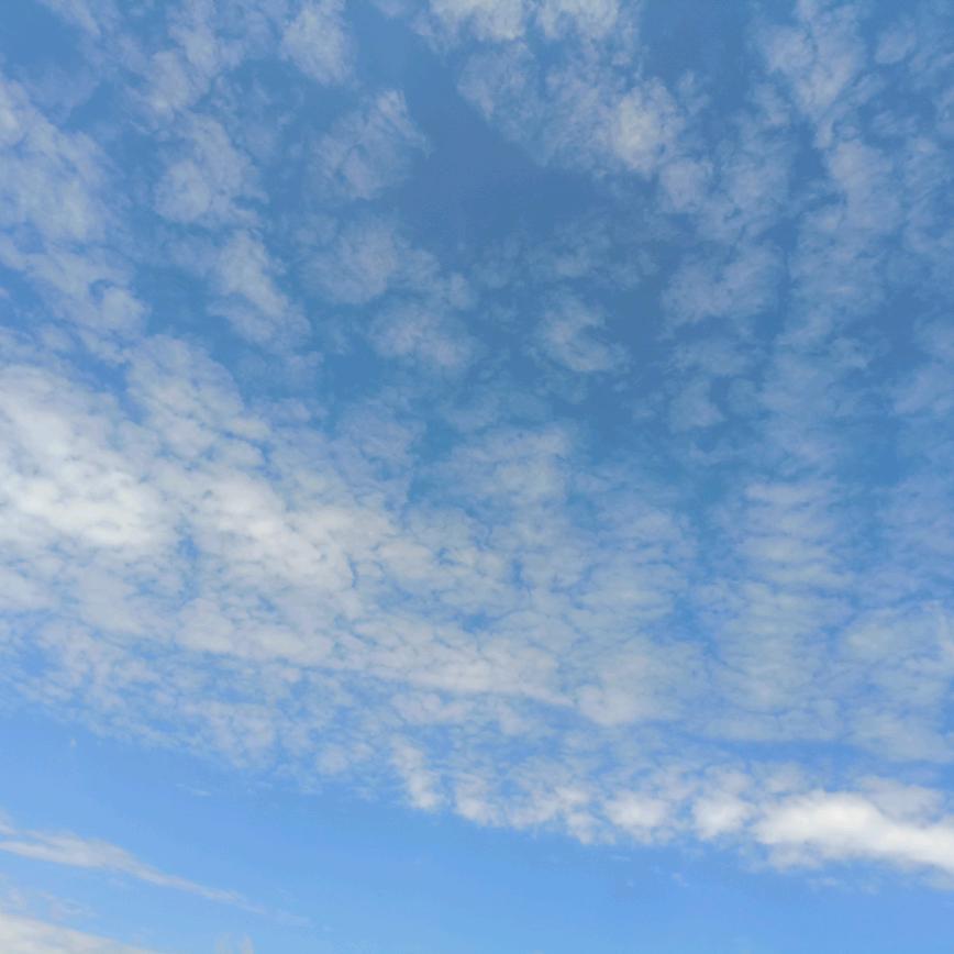 起个名字好难。