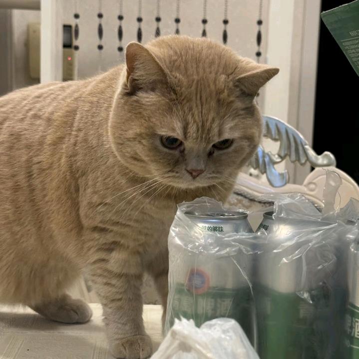 嘎嘎嘎嘎嘎嘎嘎嘎嘎嘎