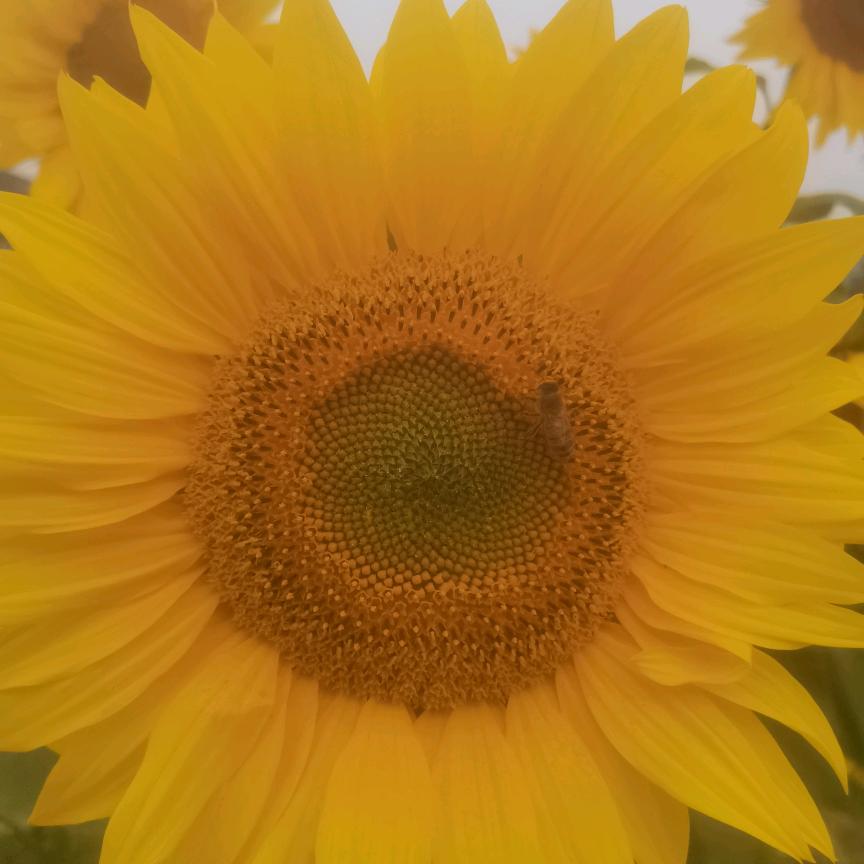 ୧🌌⍤⃝そ尧尧