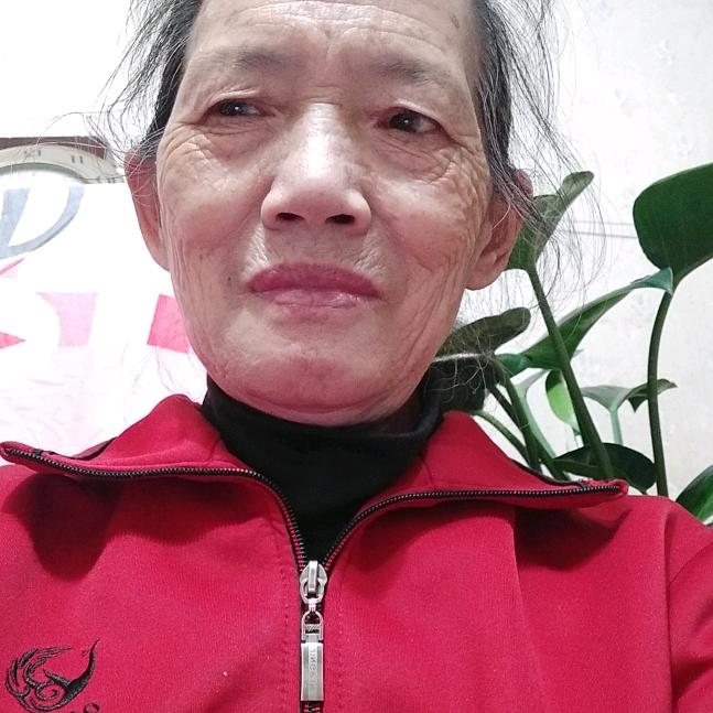 农村张姐2