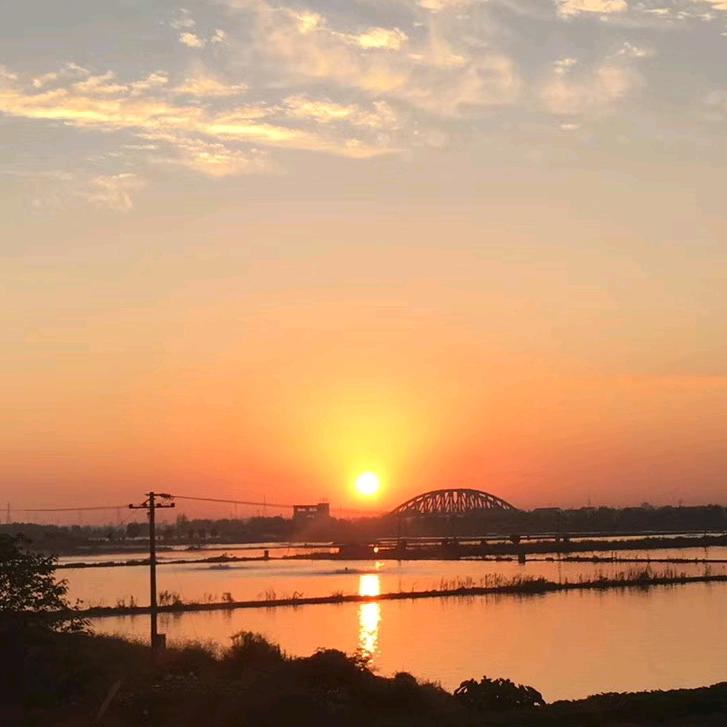 海哥