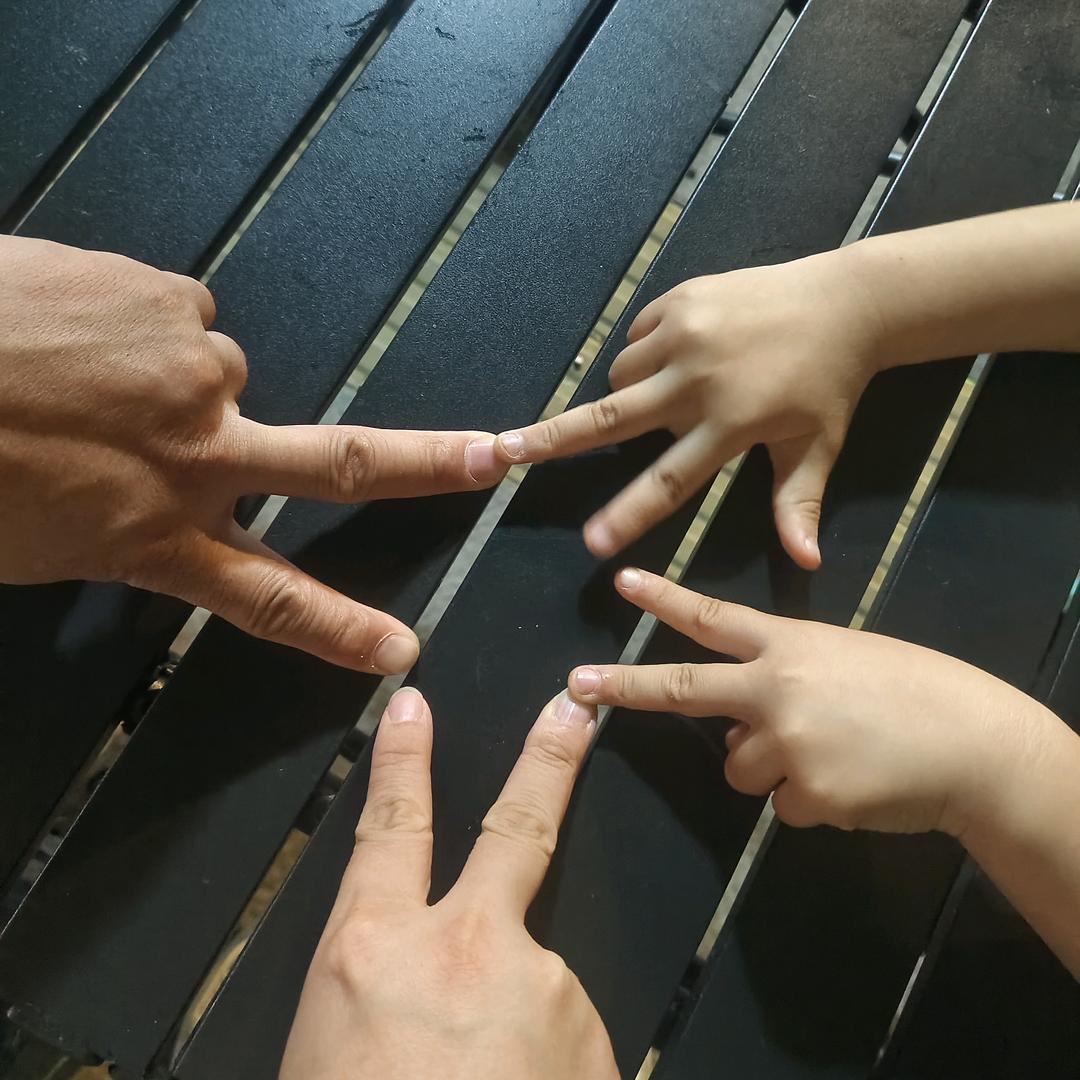丹妍花开