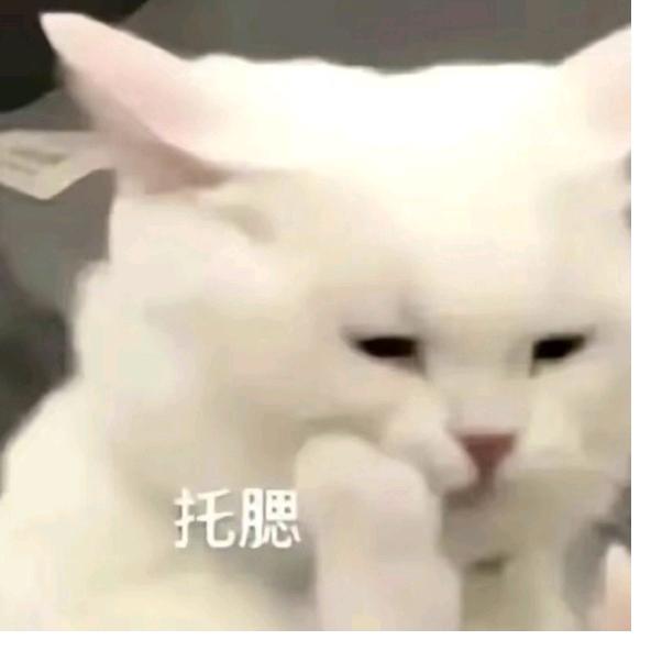 🌈关于我何时才能上王者🌈