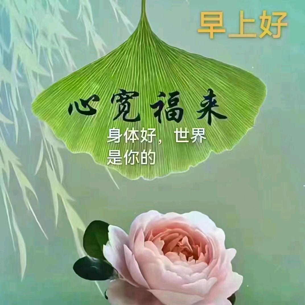 杉杉👄