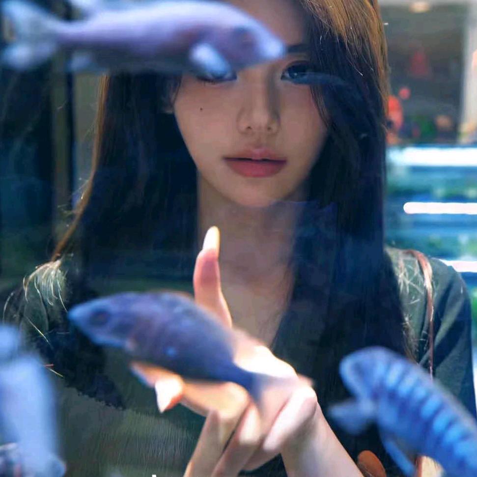 迷糊小鱼