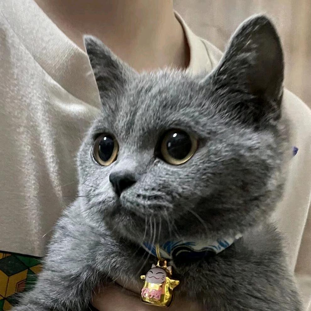 许某逃离地球（真的不舔🐭）