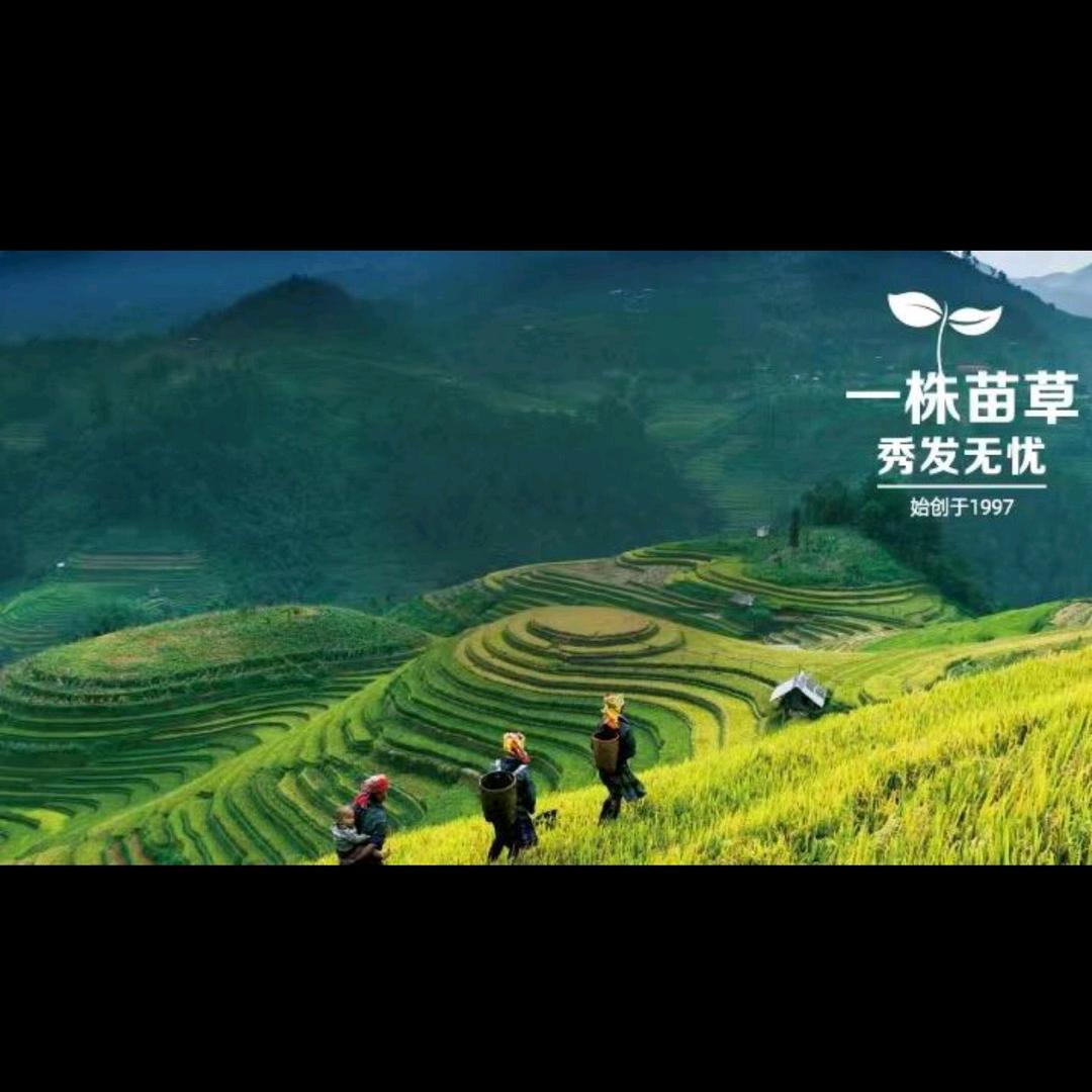 岳灵小春儿