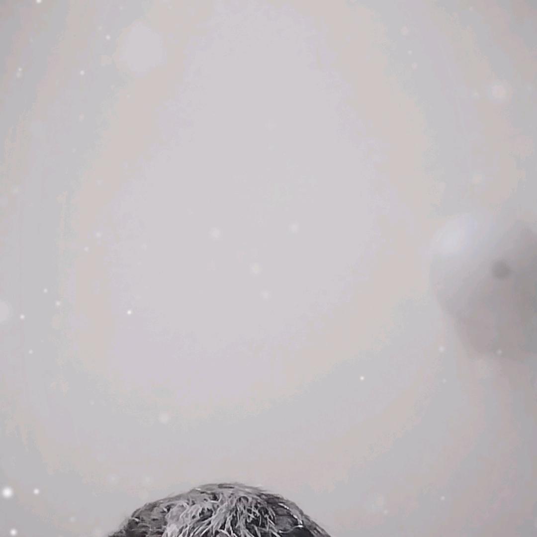 张志强