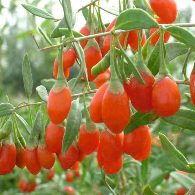 虞城县女生宿舍，仅限女生