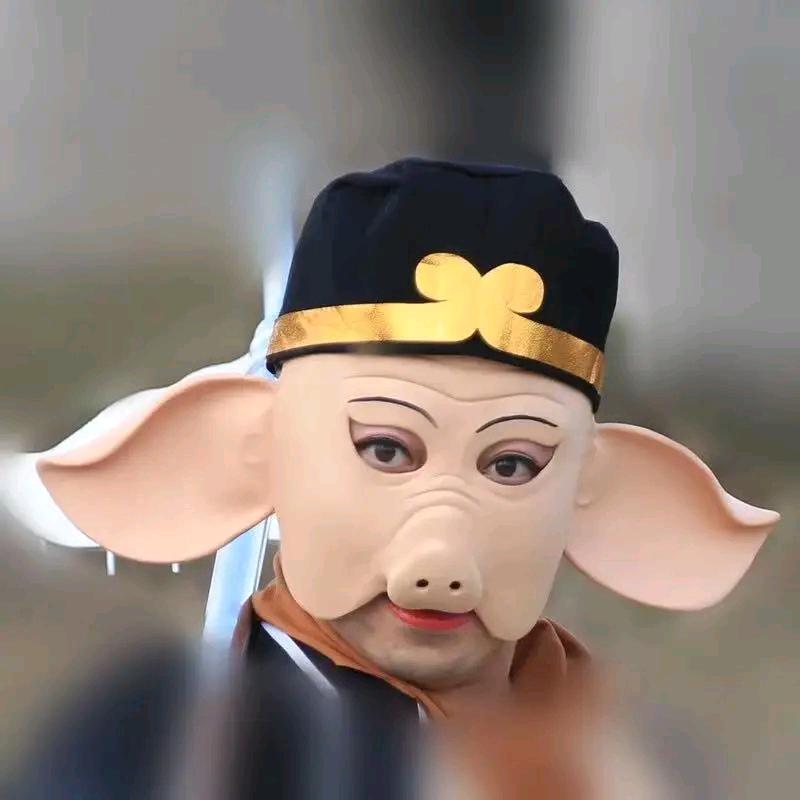 八戒卢歌